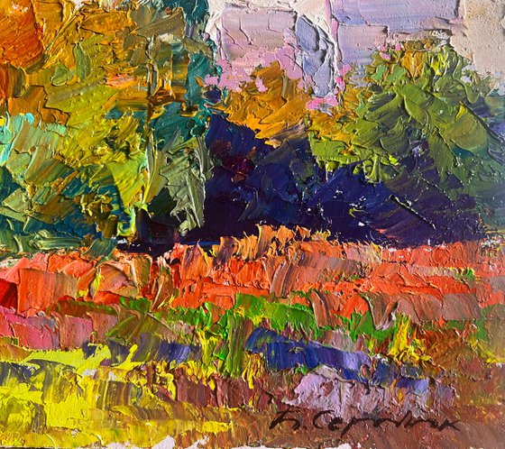 Autumn Meadows Outside the City