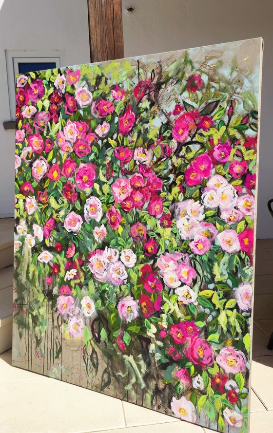 Briar Rose Bush