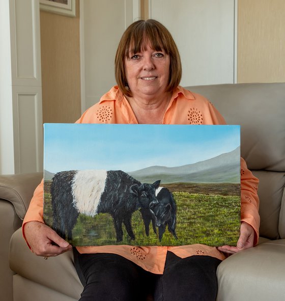 Belted Galloways