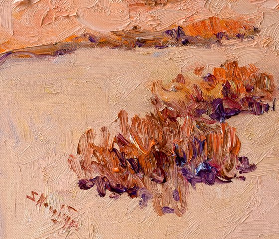 Sunny Midday. Desert