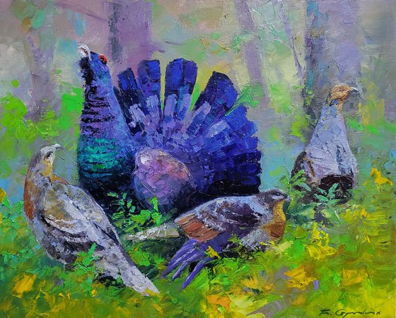 Black Grouse in the Summer Forest