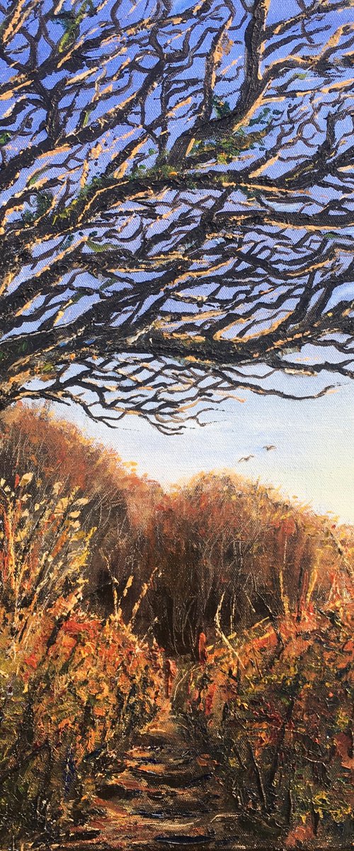 Winter Walk, Dartmoor by Lucy Smerdon