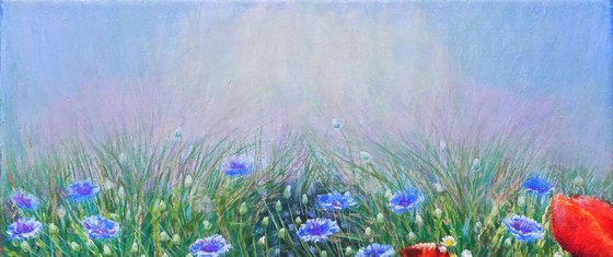 Poppies and Daisies