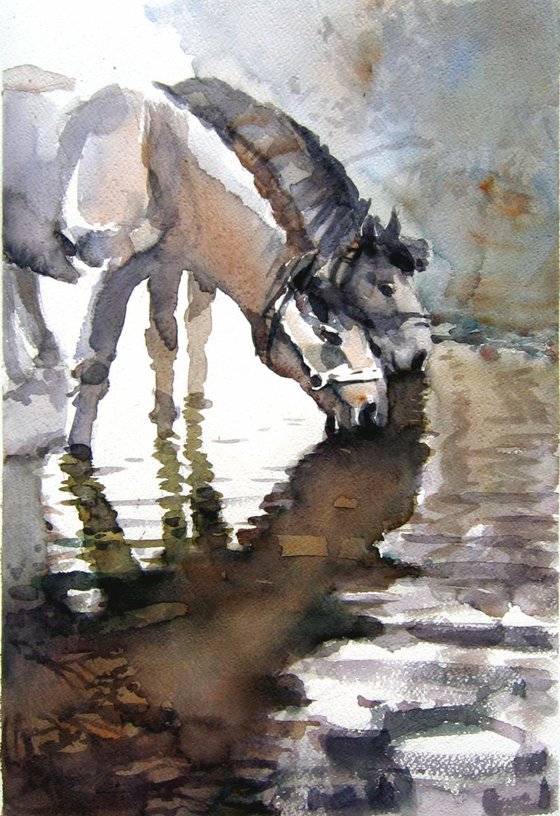Horses on the river