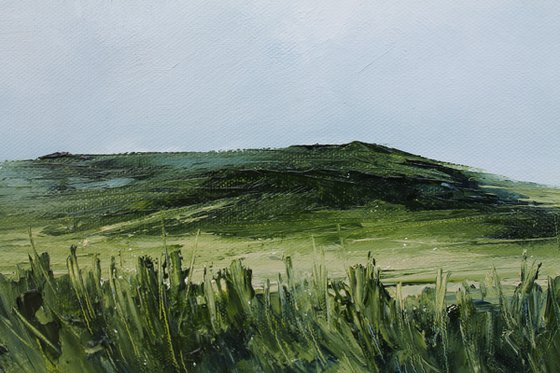 Grassland, Irish Landscape