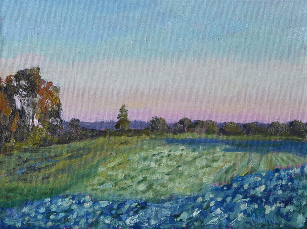 Cabbage Field By Andrea Bocedi, 9 X 11, Artwork For Sale On Artfinder
