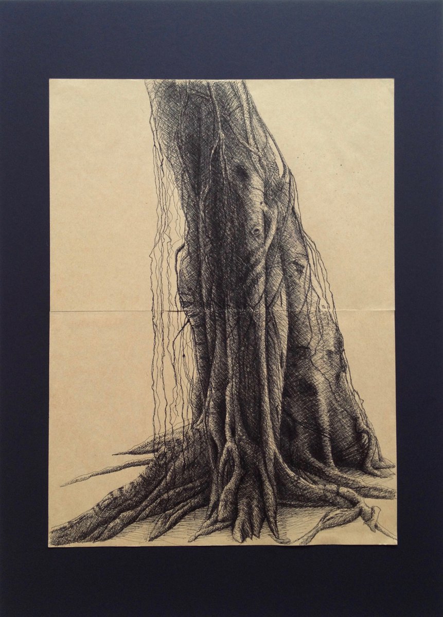 Banyan Tree by David Lloyd