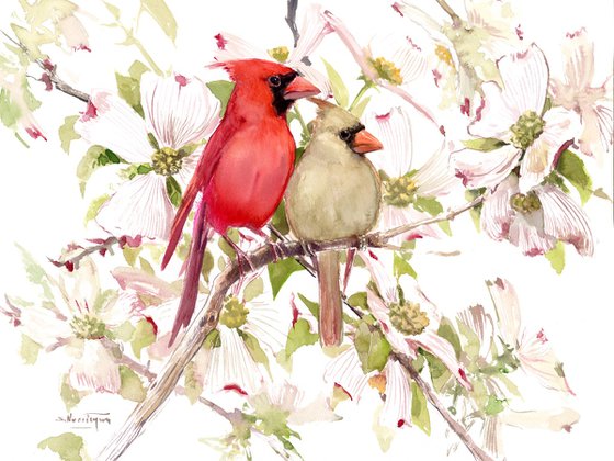 Cardinals and Dogwood