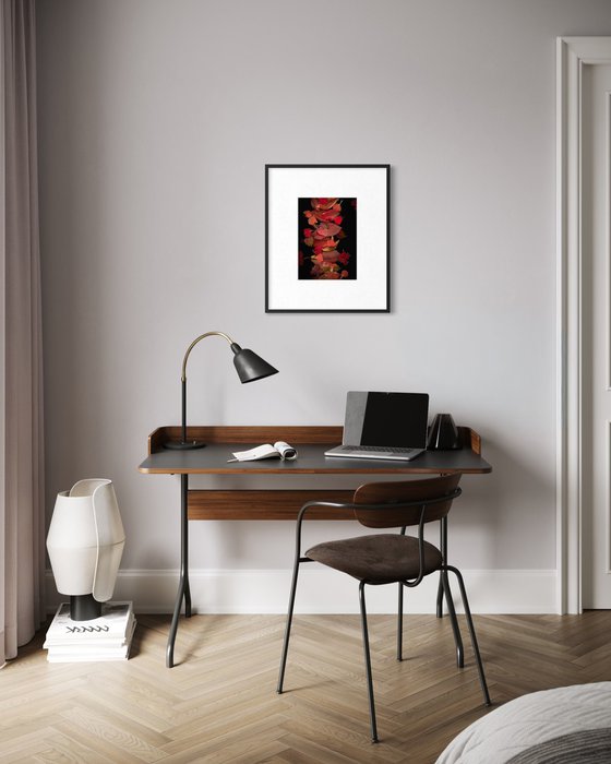 Autumn Leaves, An interplay of red and black