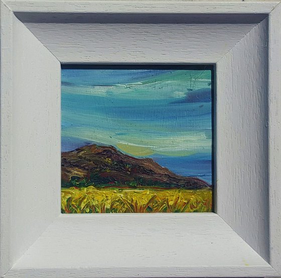 The Summer Fields of Bray Head, Wicklow, Ireland - a Mini Irish Landscape