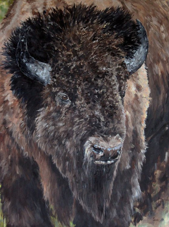 Wildlife - Buffalo - Bison - "Prairie Sentinel"