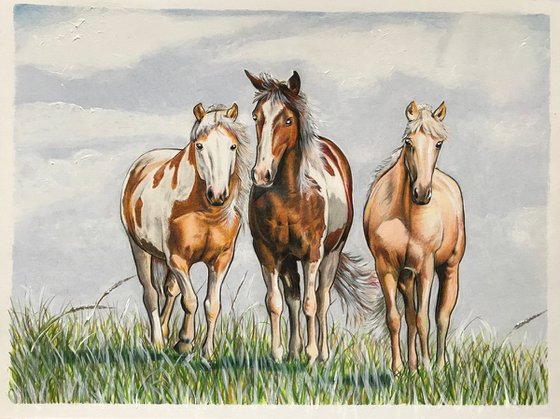 Three horses