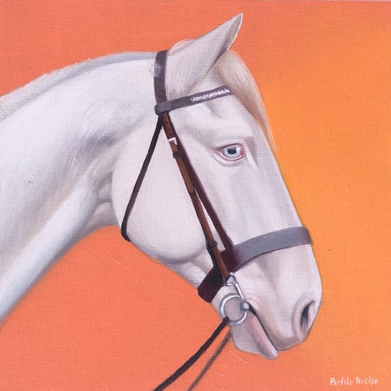 Horse Portrait 60