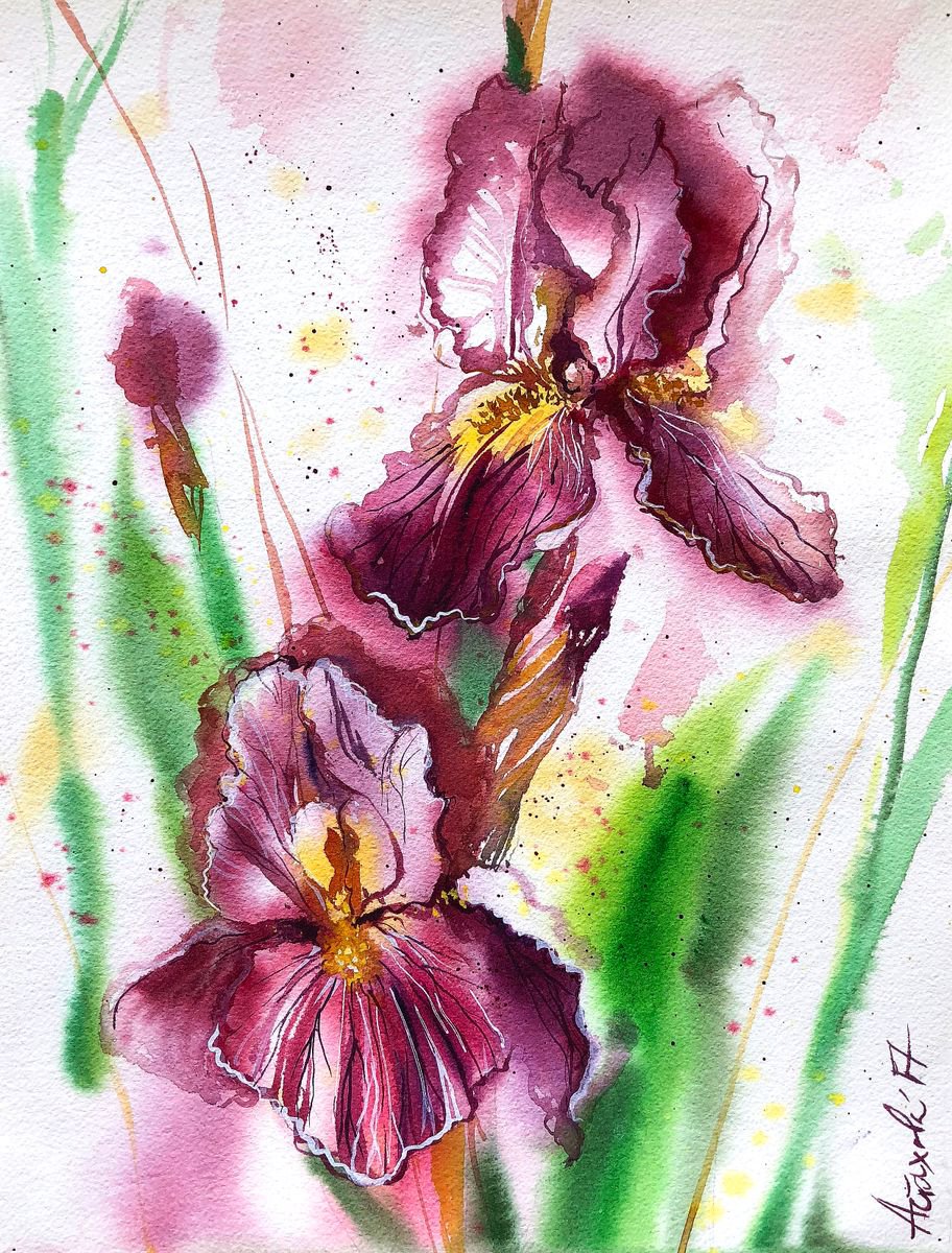 Impressionistic Botanical Watercolour By Ksenia Astakhova, 12 X 16", Pink Irises, Original Artwork