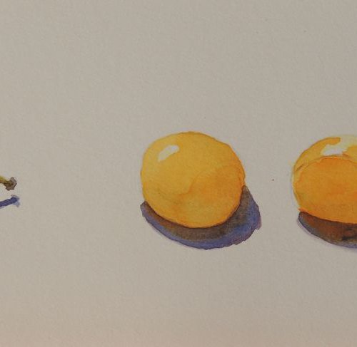 Four Mirabelles in a line by Krystyna Szczepanowski