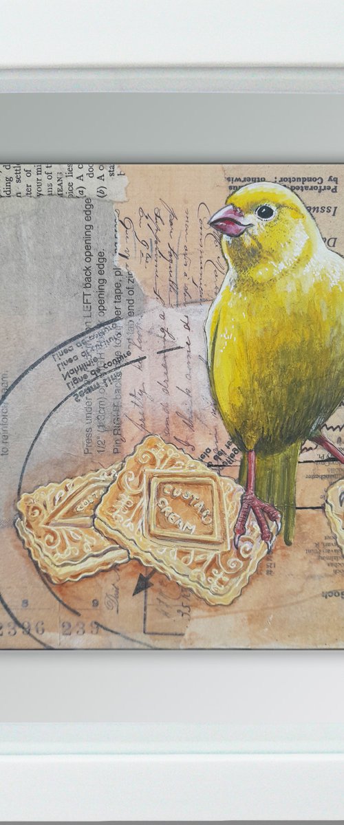 The Canary and the Custard Creams by Carolynne Coulson