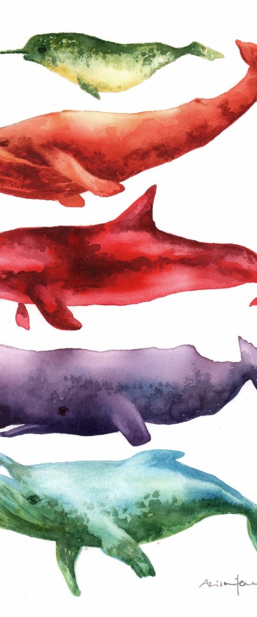 Chimerical Cetaceans - Original Watercolour Whale Painting by Alison Fennell