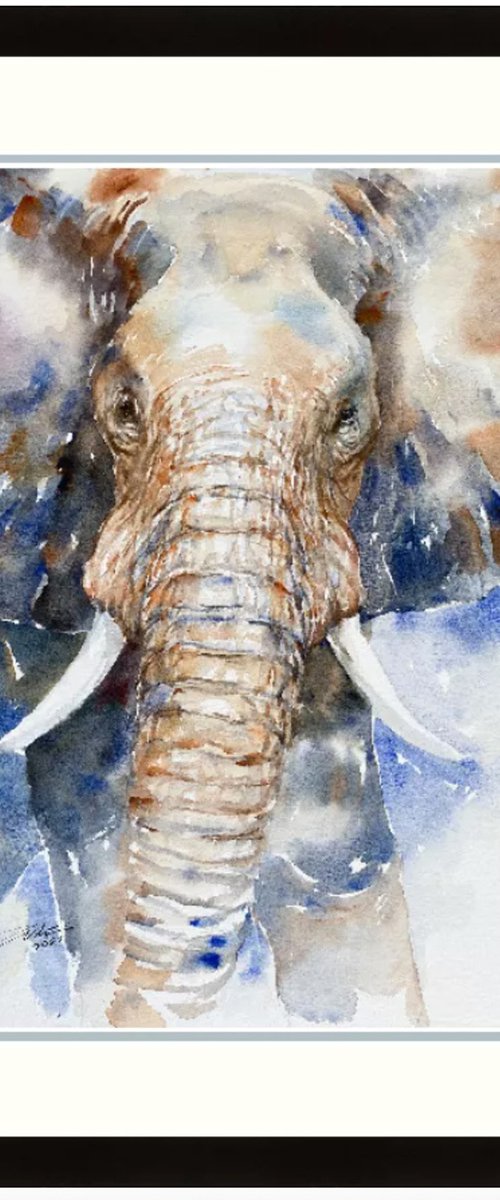 Tembo the Elephant by Arti Chauhan