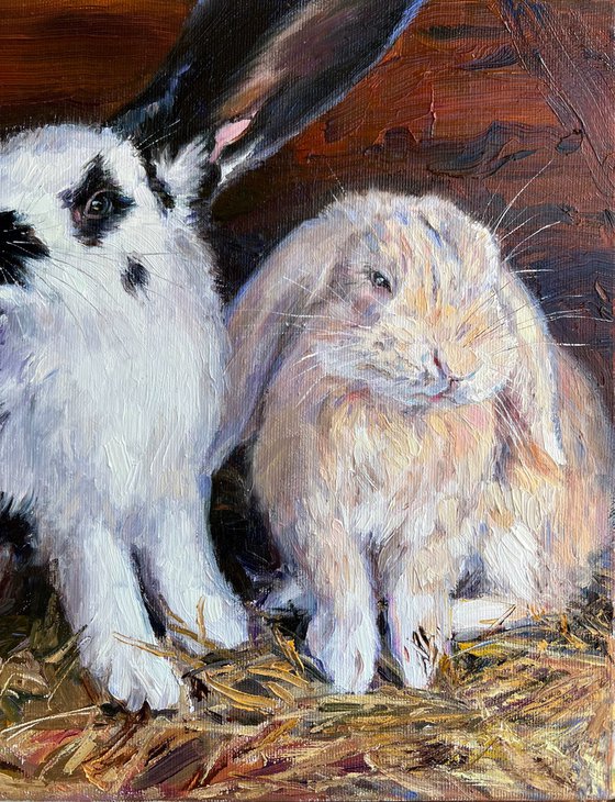 « Sunny bunny»