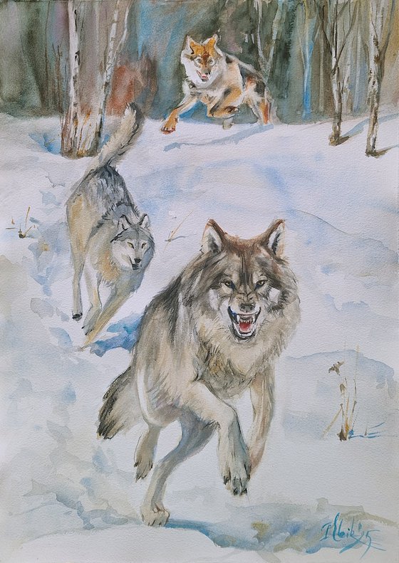 Wolf Run