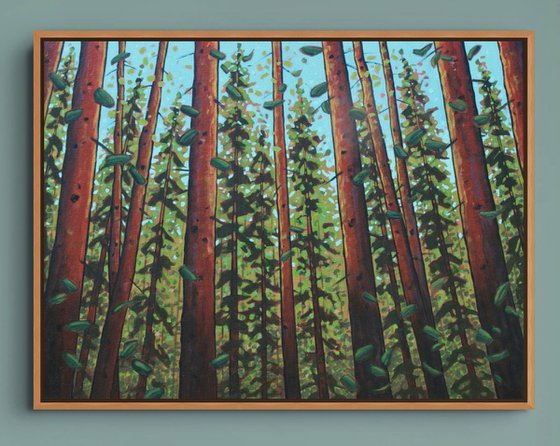 Trees of the Forest