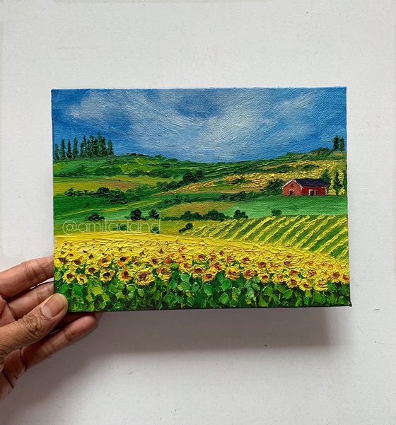 Sunflowers Field