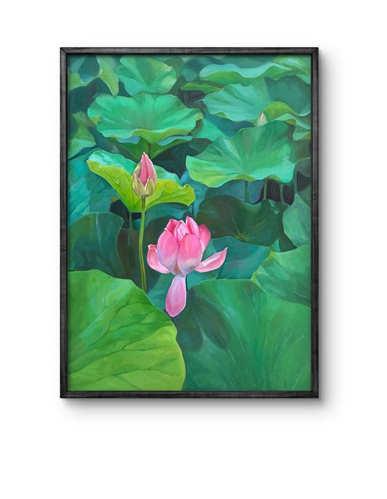 Lotuses. Pond. Time of youth