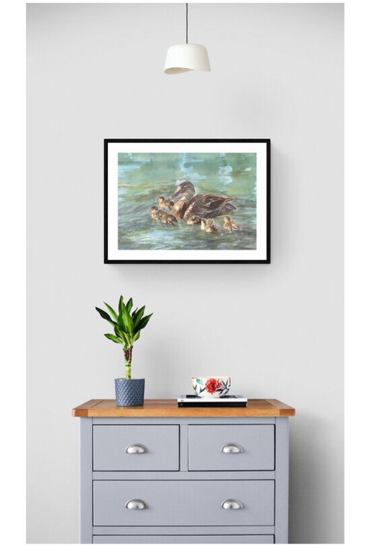 Ducklings Day Out