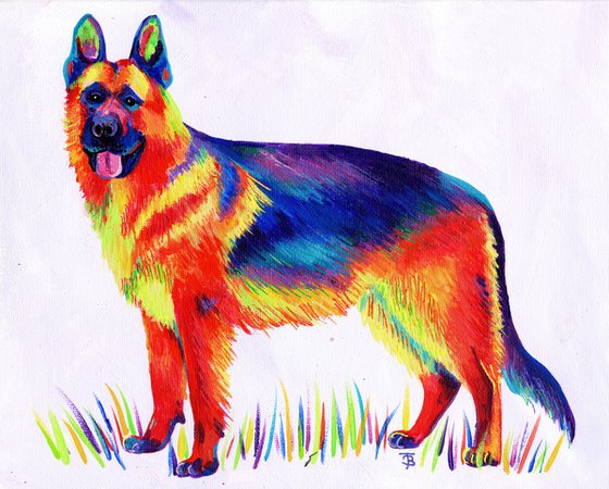 Rainbow German Shepherd