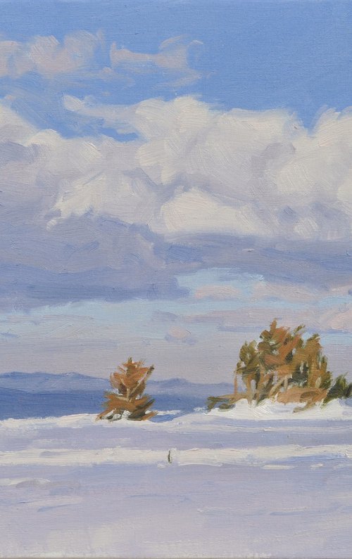 Pines on the snowy summit of Mount Mézenc by ANNE BAUDEQUIN