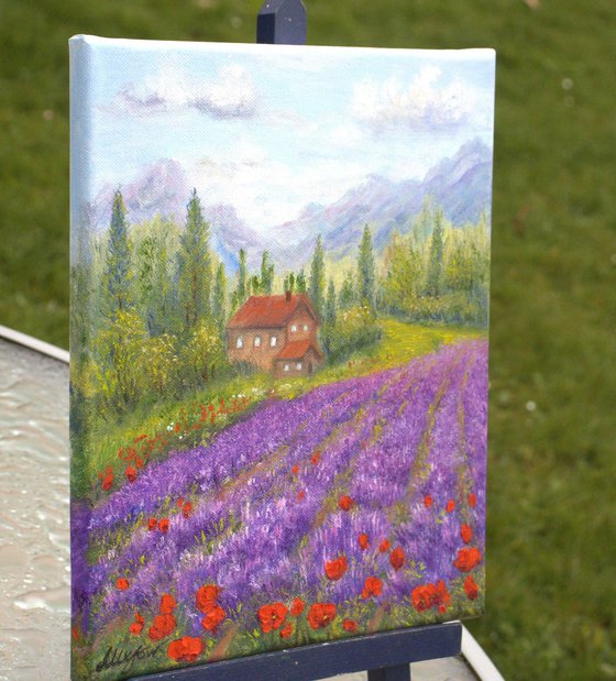 Lavender and poppies