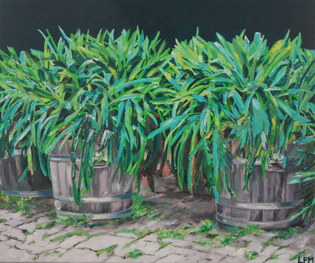 Plants in Barrels by Linda Monk