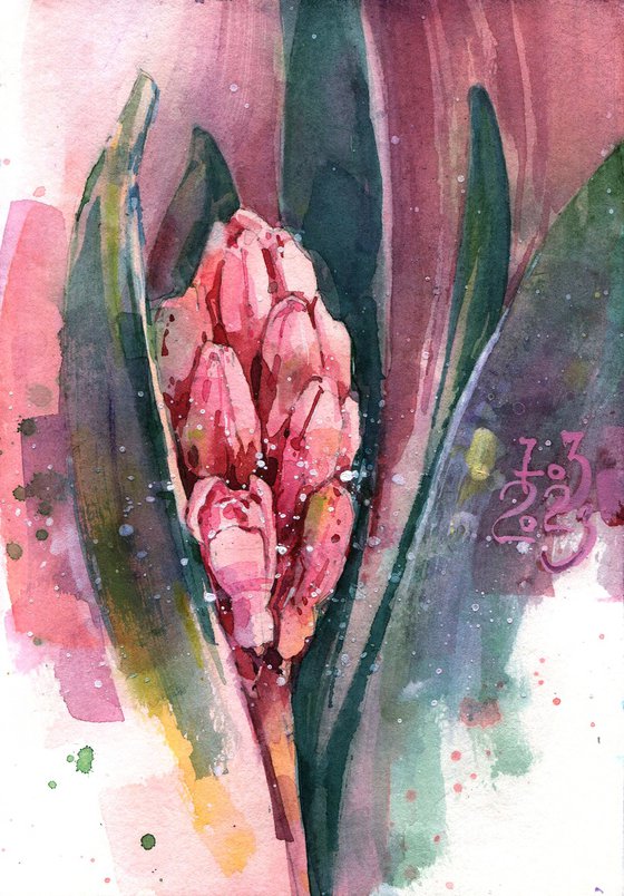 Watercolor sketch "Hyacinth flower"
