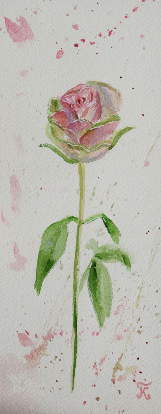 Rose original watercolor painting postcard Pink flowers bouquet