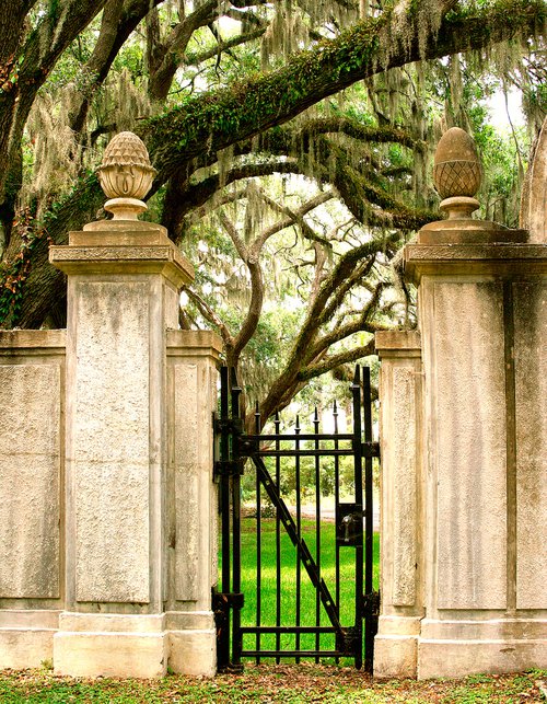 SOUTHERN GOTHIC GATE Savannah GA by William Dey