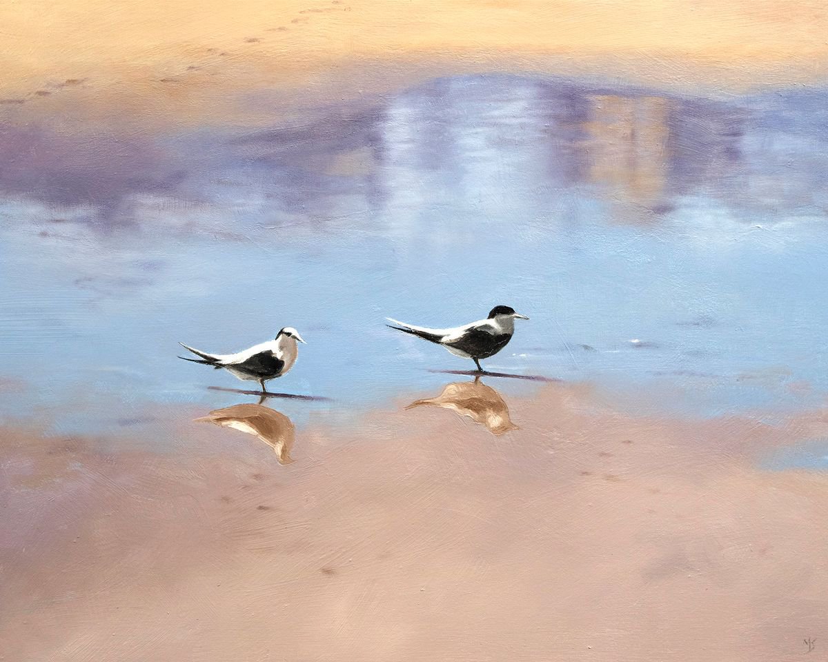 Terns by Mike Skidmore
