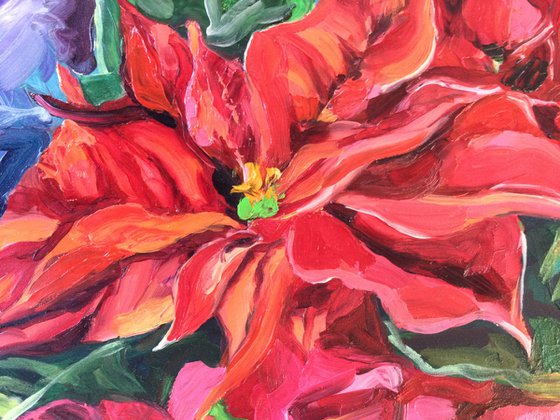 Pink & Red Poinsettia