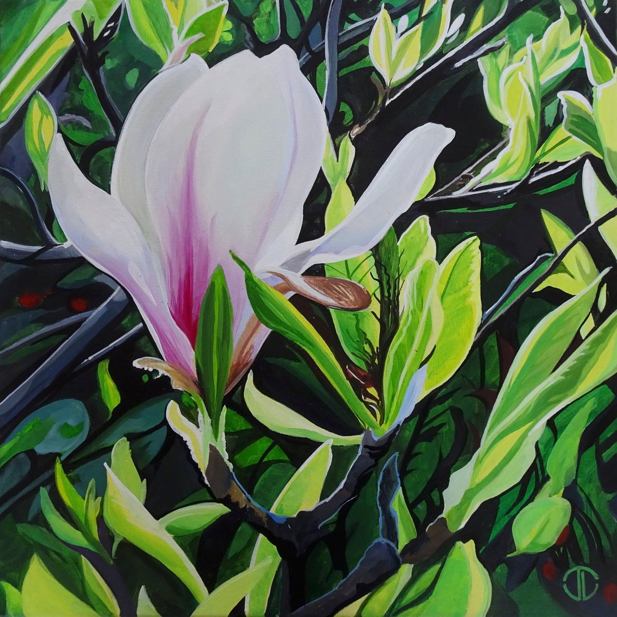 Impressionistic Botanical Acrylic Painting By Joseph Lynch, 20 X 20, Magnificent Magnolias, Original Artwork