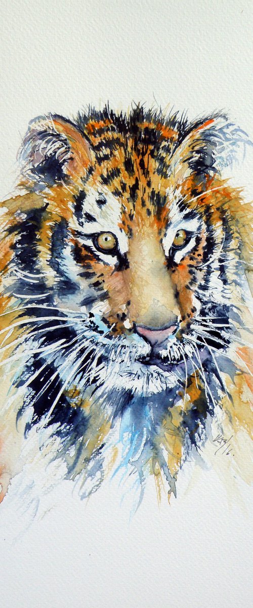 Tiger cub by Kovács Anna Brigitta