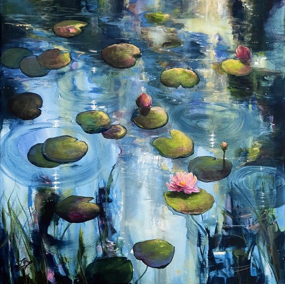 Always Waterlilies 1