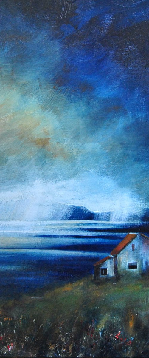 Waternish with Shed by Ian macphie