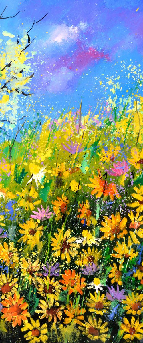 Daisies in summer by Pol Henry Ledent