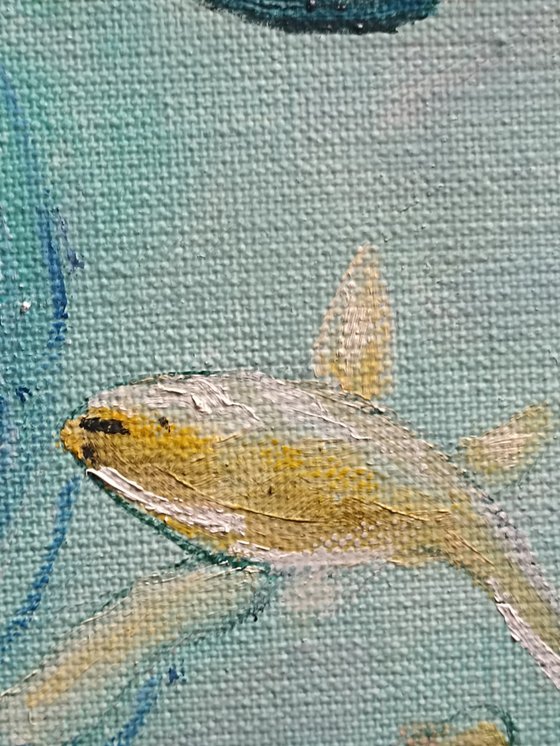 Waterlilies 1