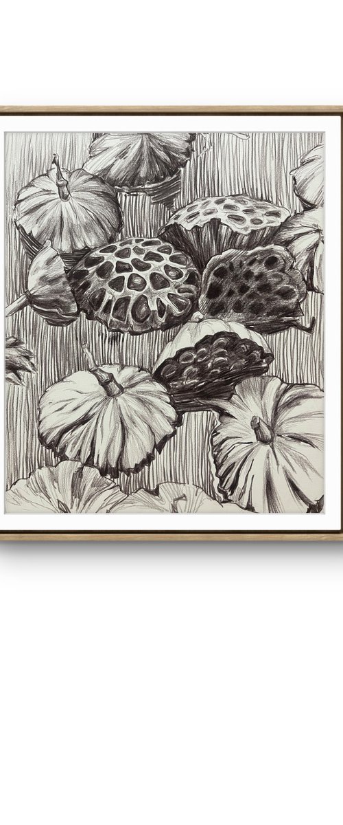 Lotus pods. Water flower pond by Guzel Min