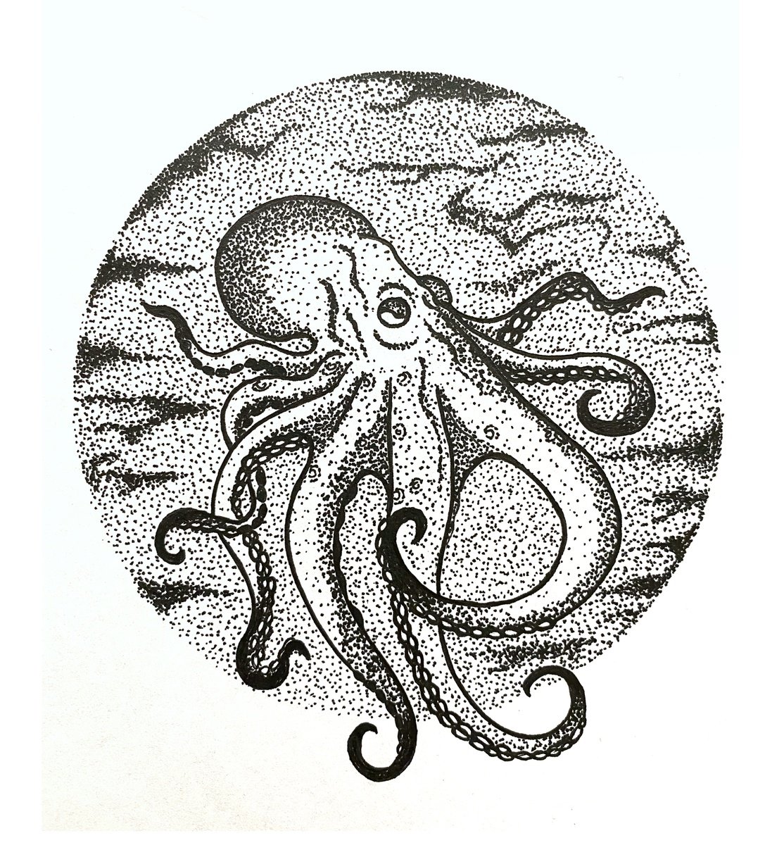 Octopus by Tina Shyfruk