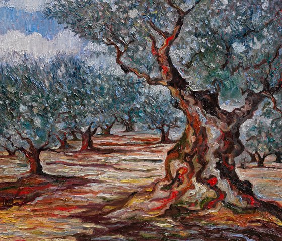 Olive Grove