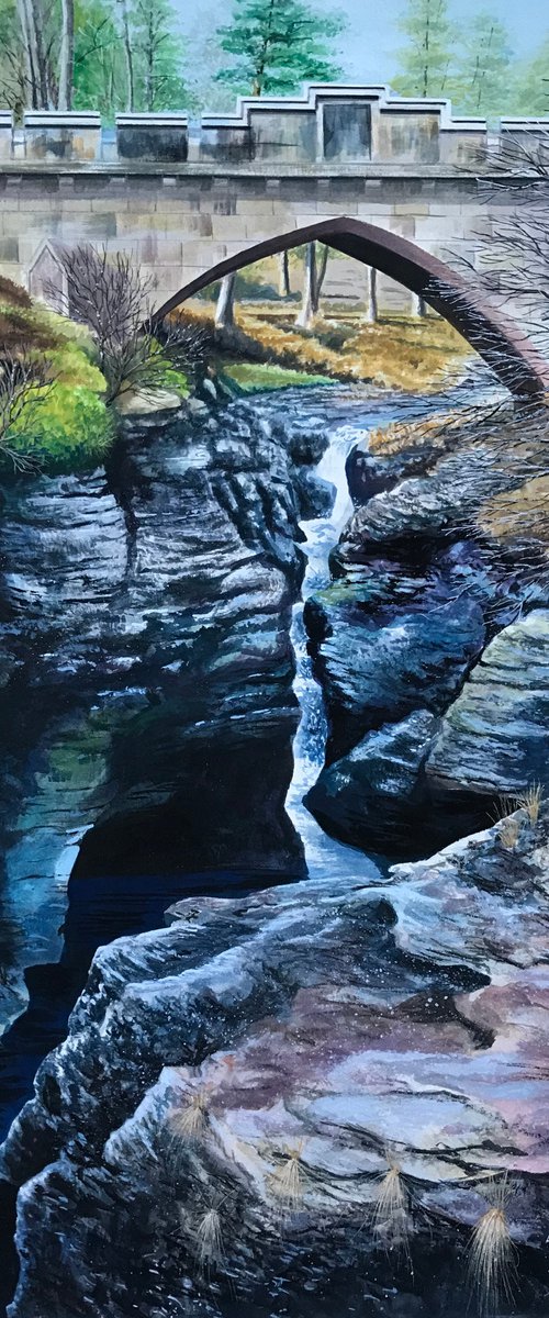 LINN OF DEE by D. P. Cooper