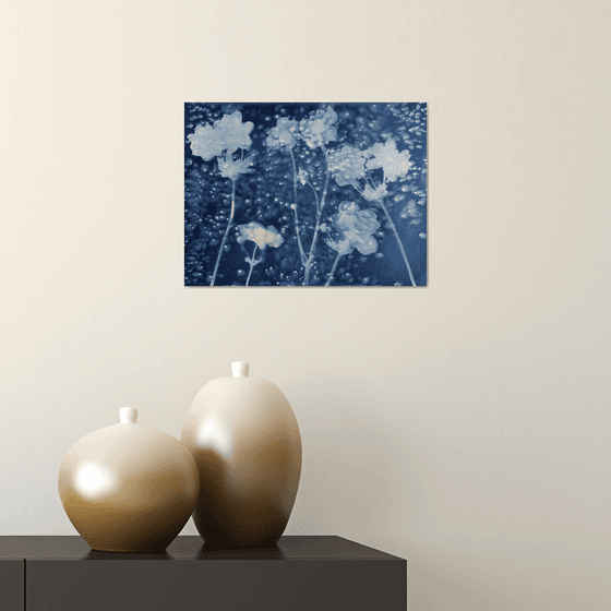 Japanese Anemone  Cyanotype