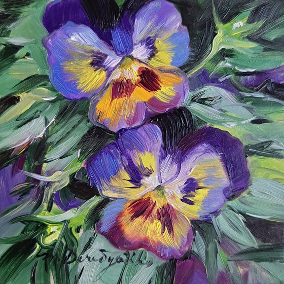 Pansy flowers
