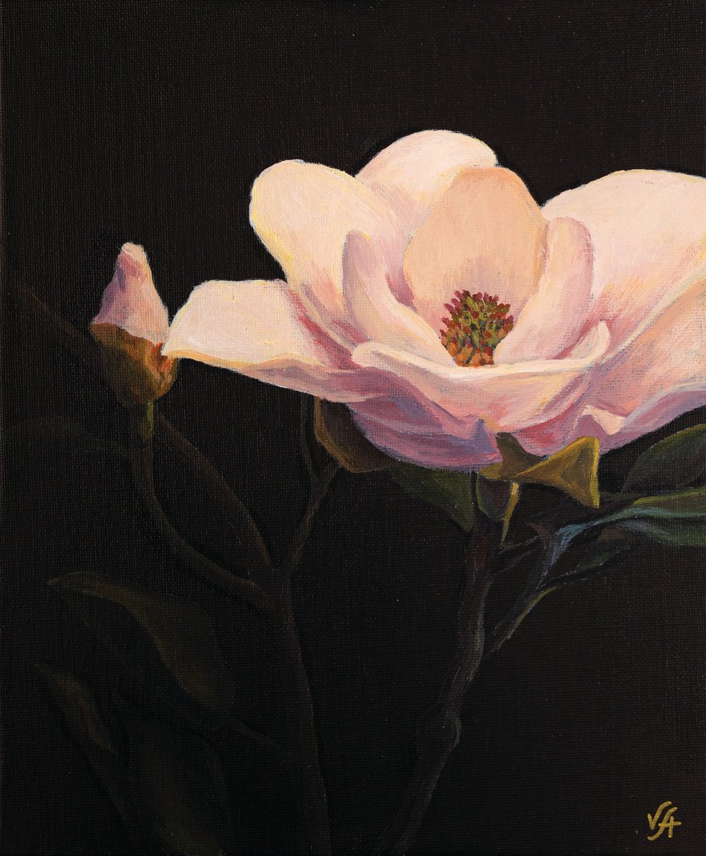 Magnolia blossom by Alona Vakhmistrova